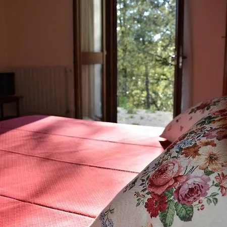 Room In Bb - Bb Il Leccio , Umbria Gasthuis Amelia