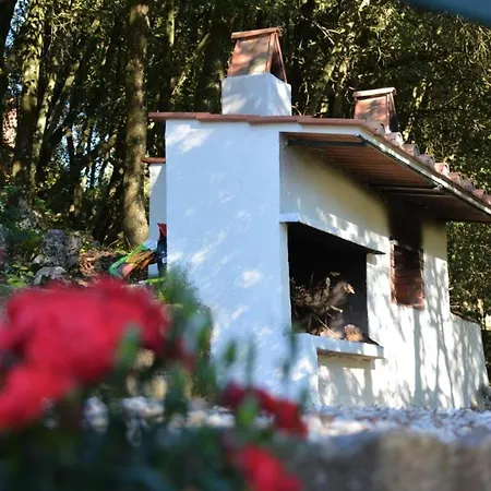 Room In Bb - Bb Il Leccio , Umbria Амелиа