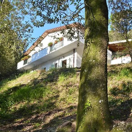 Room In Bb - Bb Il Leccio , Umbria