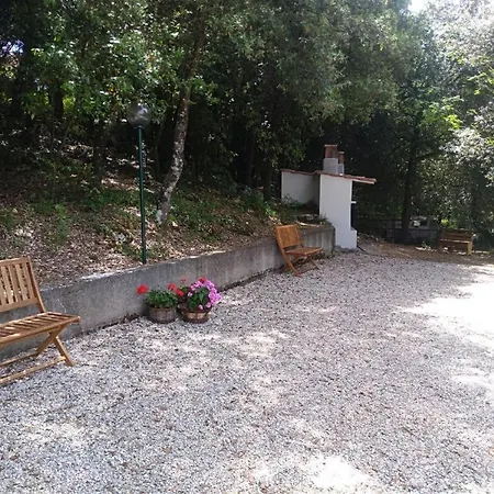 Room In Bb - Bb Il Leccio , Umbria Gasthuis *