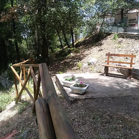 Gasthuis Room In Bb - Bb Il Leccio , Umbria *